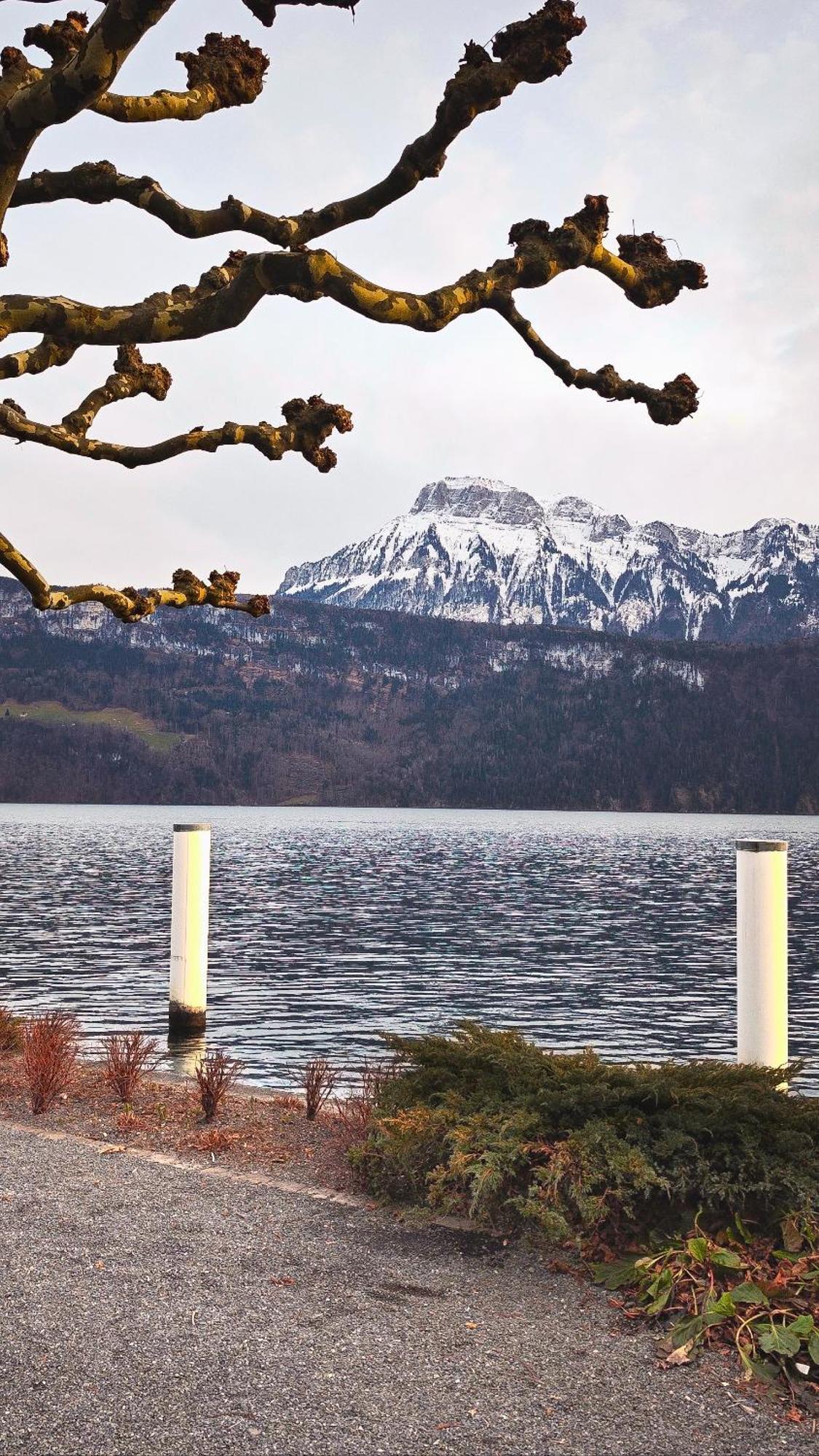 Seehotel Schwert Gersau Dış mekan fotoğraf