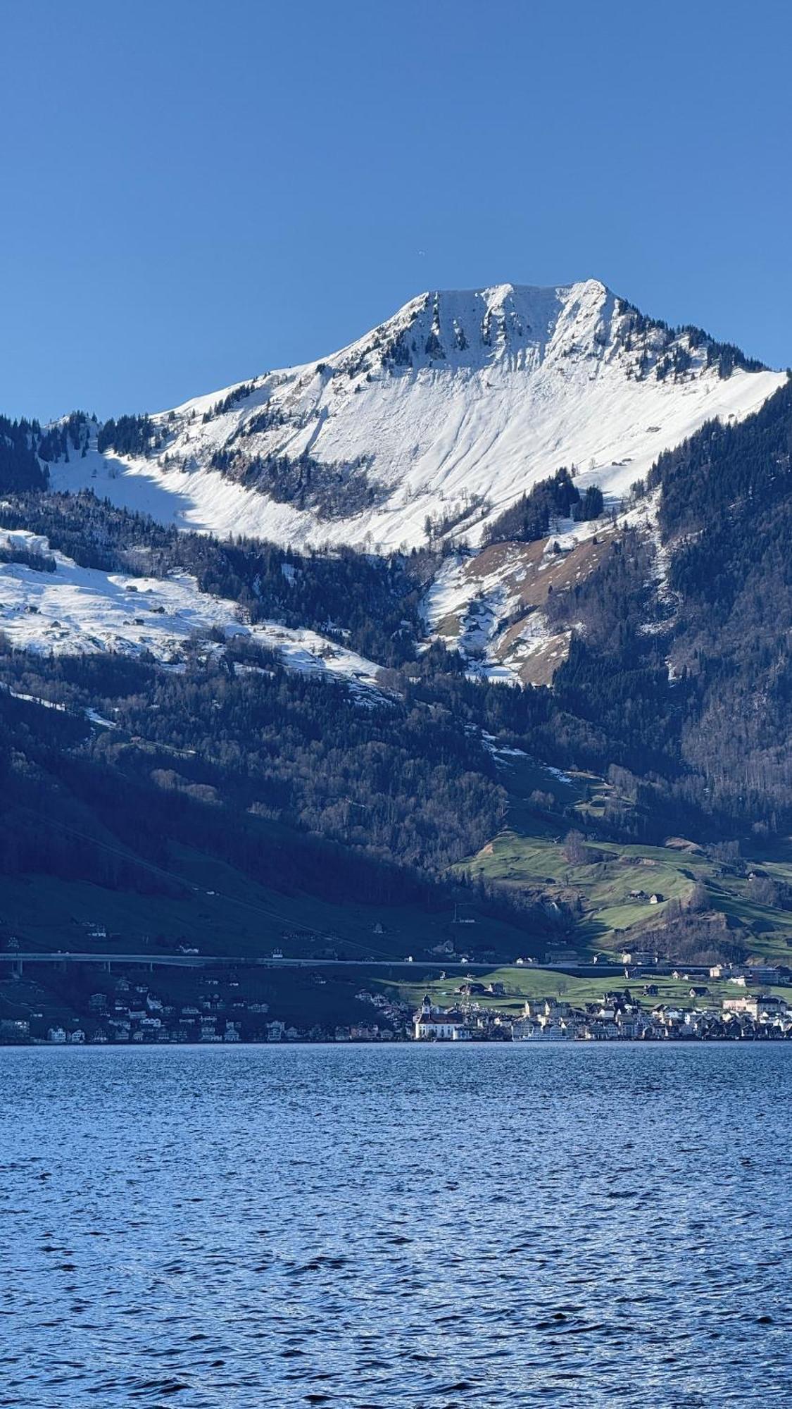 Seehotel Schwert Gersau Dış mekan fotoğraf